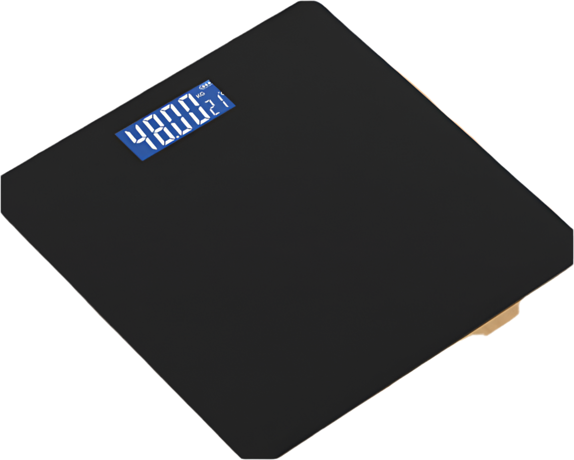 Personal weight checker